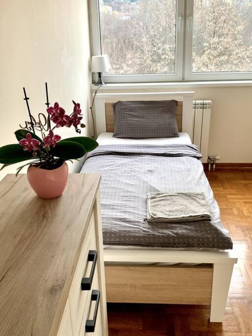 Sunkissed Apartment Belgrade Exterior photo